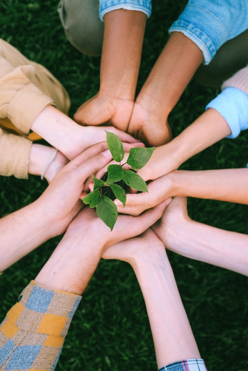 green plant on people s hands